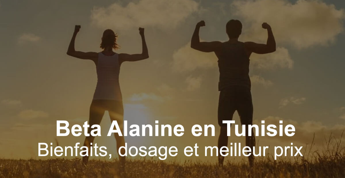 Guide complet Beta Alanine Tunisie impact danger, Utilisation & Meilleur Prix