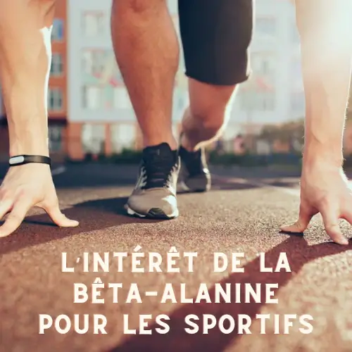 bienfaits beta alanine tunisie