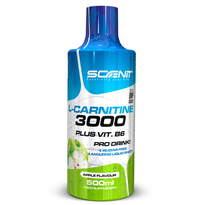 L-Carnitine 3000 + Vitamin B6 - 500 ml
