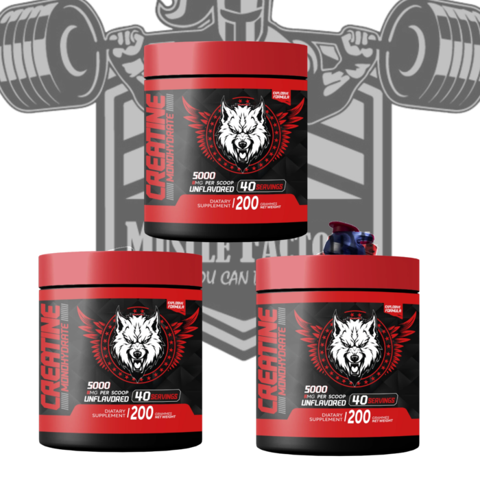 AMERICAN WOLF - 100% CREATINE MONOHYDRATE | 40 SERVINGS - 600g